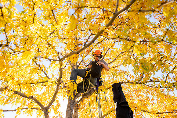 Christmas Light Crew - Oct 2026