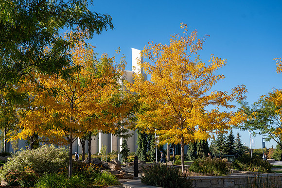 DailyBYUI - Sept 2026