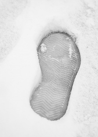 Campus Snow - Nov 2024