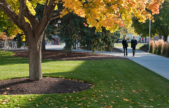 Fall, campus Pathways
