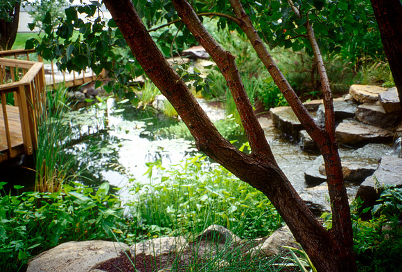 The Gardens' pond