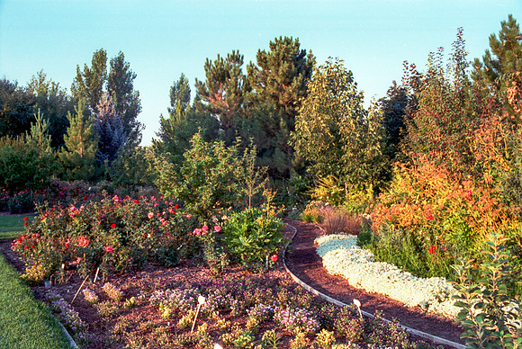 Flowers in the Gardens