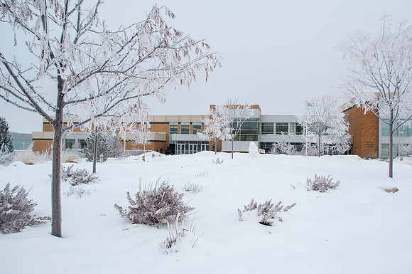 Winter frosts settles on the trees in front of the Manwaring Center.