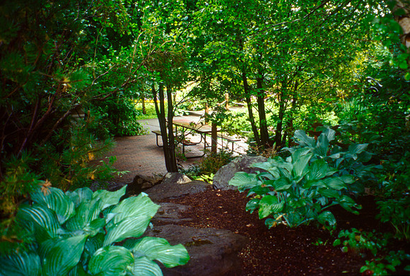 A picnic table in the shaded section of the Gardens