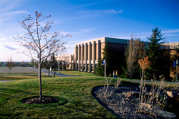 The Fall colors around campus
