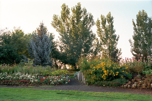 Flowers in the Gardens