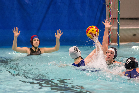 Images of the Mens and Womens competitive Water Polo Championship.