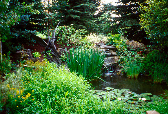 The Swan Statue in the Gardens designed by Gary Price