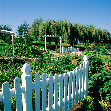 A section of the Gardens