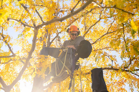 Christmas Light Crew - Oct 2026