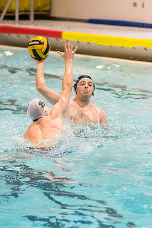 Images of the Mens and Womens competitive Water Polo Championship.