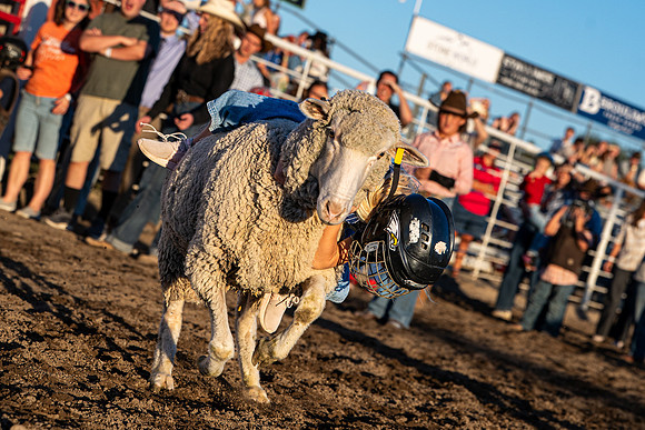 Spirit Week Rodeo - Oct. 2026