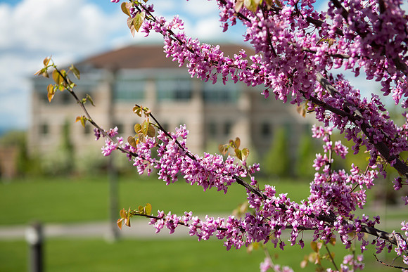 Jacob Spori Building in the Springtime.