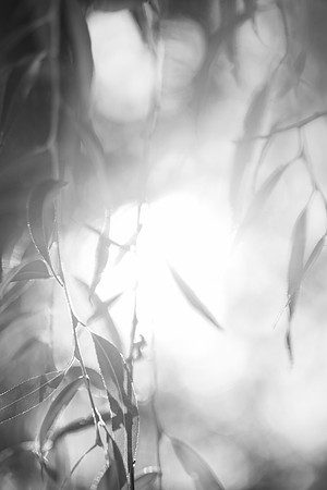 Fall Vibes - Sept 2026
