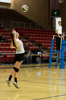 Women's competitive VolleyBall Championship game.