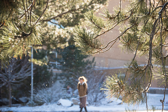 Light snow falls in the morning on campus.