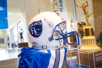 Viking Heritage Photos - Oct 2026