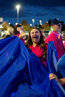 Light the Night Parade