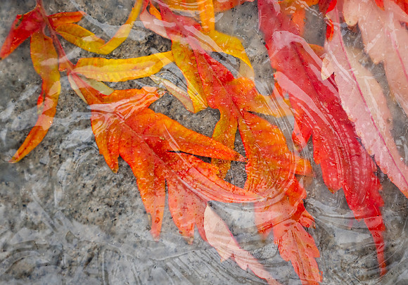 Glass Photo Painting - Oct 2026