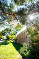 Sunny Fall Day - Sept. 2026