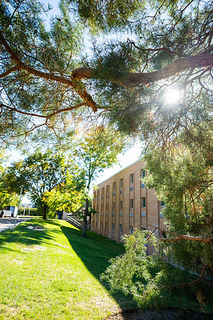 Sunny Fall Day - Sept. 2026