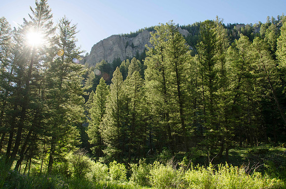 Backpacking trip up Webber Creek trail to Webber Lake.