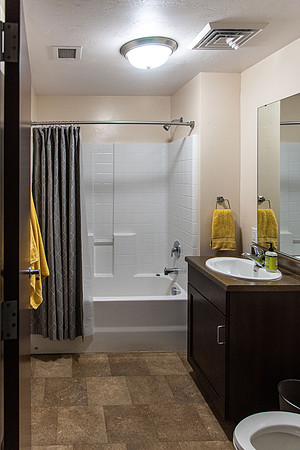 Hallway Bathroom
