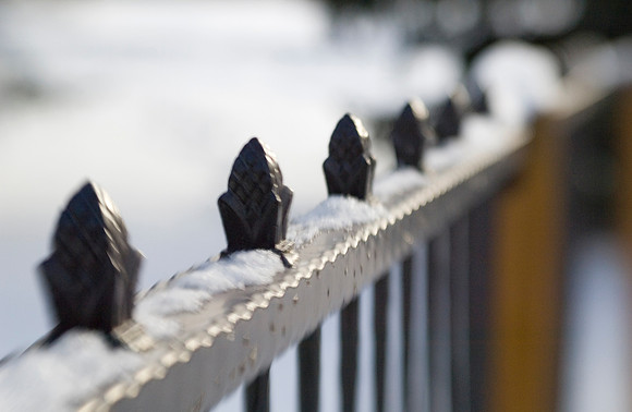 Winter beauty in the Thomas E Ricks Gardens. Images shot with a Lens Baby.