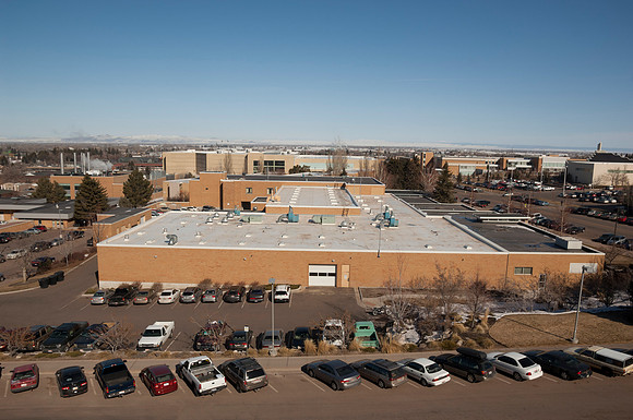 A view of the Austin Building from the new Science Technology Building.