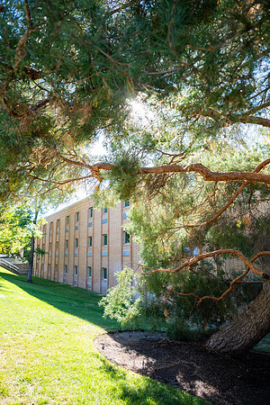 Sunny Fall Day - Sept. 2026
