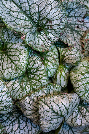 Nature on Campus - Aug 2024