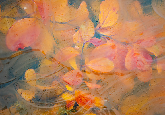 Glass Photo Painting - Oct 2026