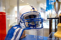 Viking Heritage Photos - Oct 2026