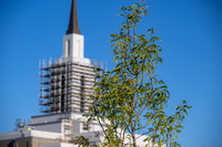 Teton River Temple Landscaping - Sept 2026