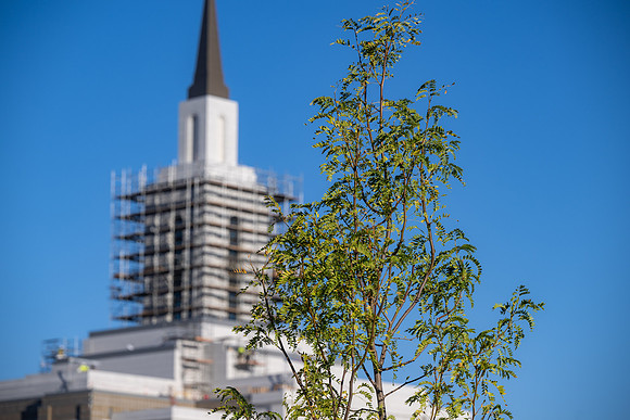 Teton River Temple Landscaping - Sept 2026