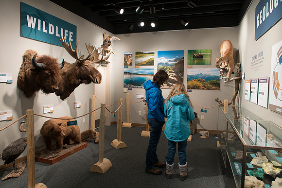 BYU-Idaho worked with the Teton Geotourism Center in Driggs, Idaho, creating a Wildlife and Geology exhibit of pieces from the Biology and Geology museums at BYU-Idaho. A ribbon cutting was held for a