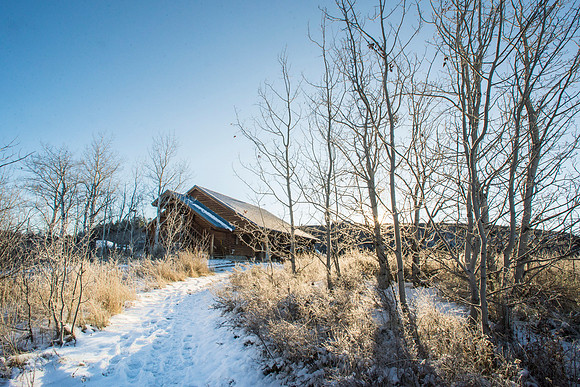 Views of different aspects of Badger Creek.