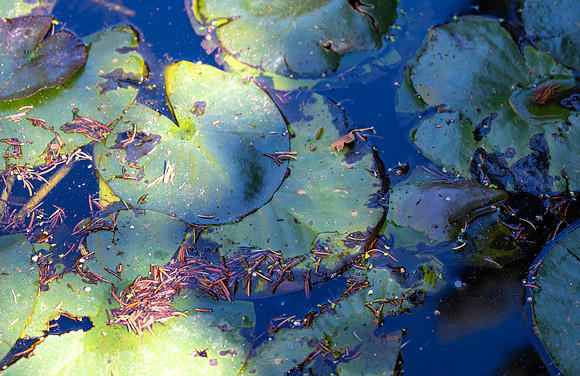 Campus Scenes - Sept. 2026