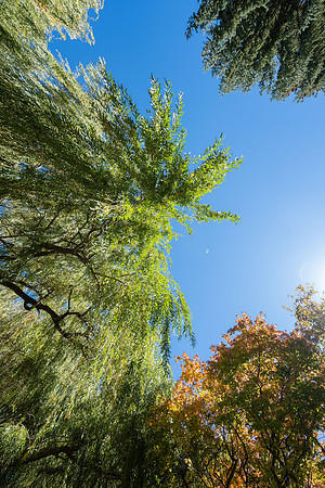 Fall Vibes - Sept 2026