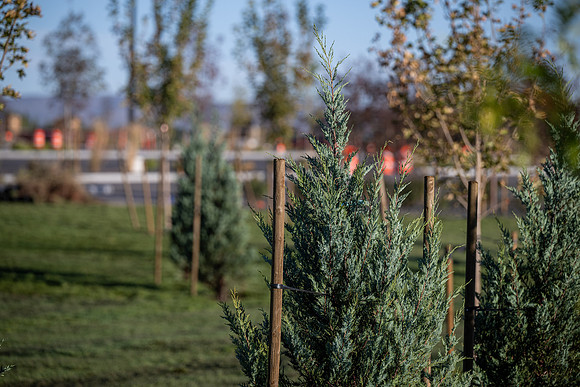 Teton River Temple Landscaping - Sept 2026