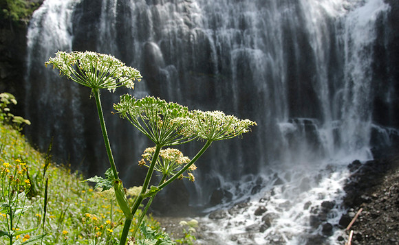 Union Falls Hike: A 17 mile hike round trip and you cross the river 4 times each way.  A very rewarding hike with a beautiful view of Union Falls. Then the real joy is to jump into Ouzel Pool which is