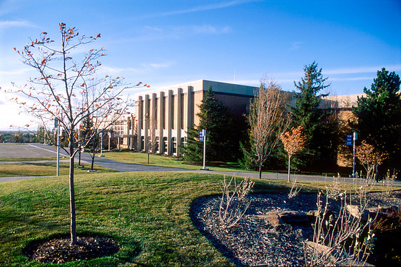 The Fall colors around campus