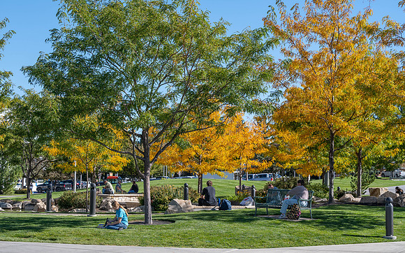 Fall Vibes - Sept 2026