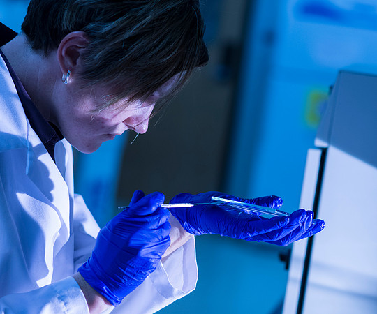 Adjunct Chemistry Instructor Jennifer Rawlinson working on her masters project in the Biology Lab in the Benson Building.