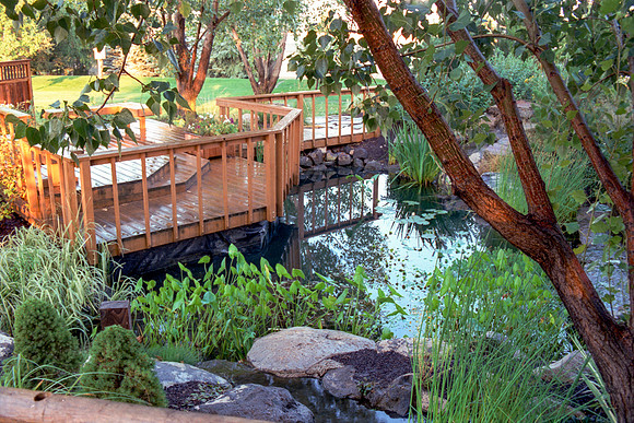 A section of the Gardens
