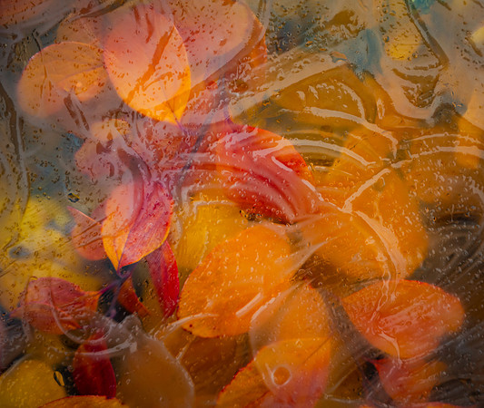 Glass Photo Painting - Oct 2026