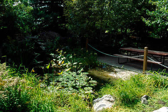 A section of the Gardens