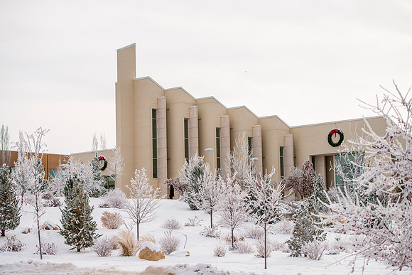 Frost on the campus grounds.