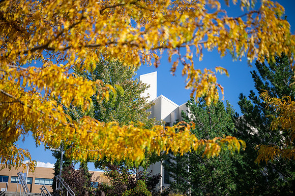 Daily BYUI - Setp 2026