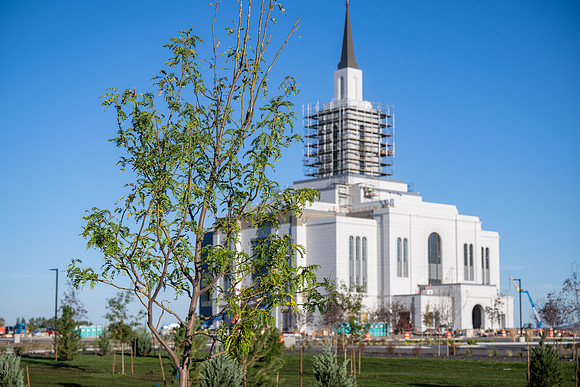 Teton River Temple Landscaping - Sept 2026